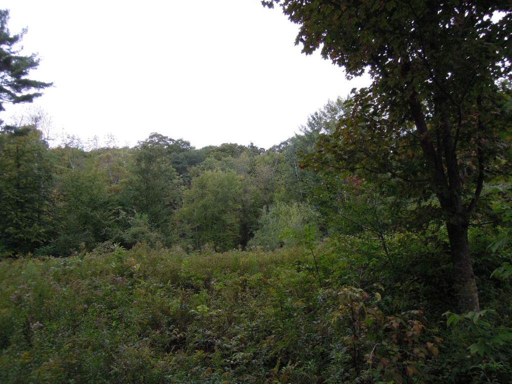 107 Waubanong Road Brattleboro, VT 05301 - Photo 14 of 28