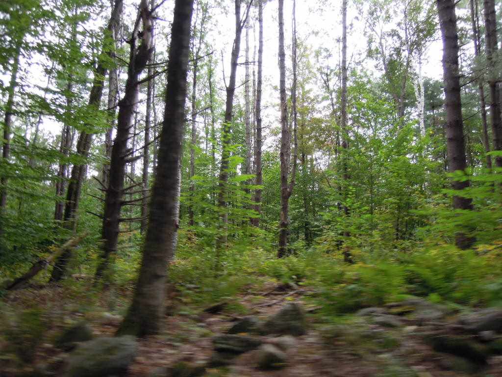 107 Waubanong Road Brattleboro, VT 05301 - Photo 22 of 28