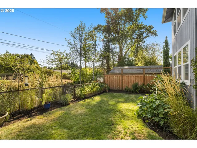 a view of a backyard