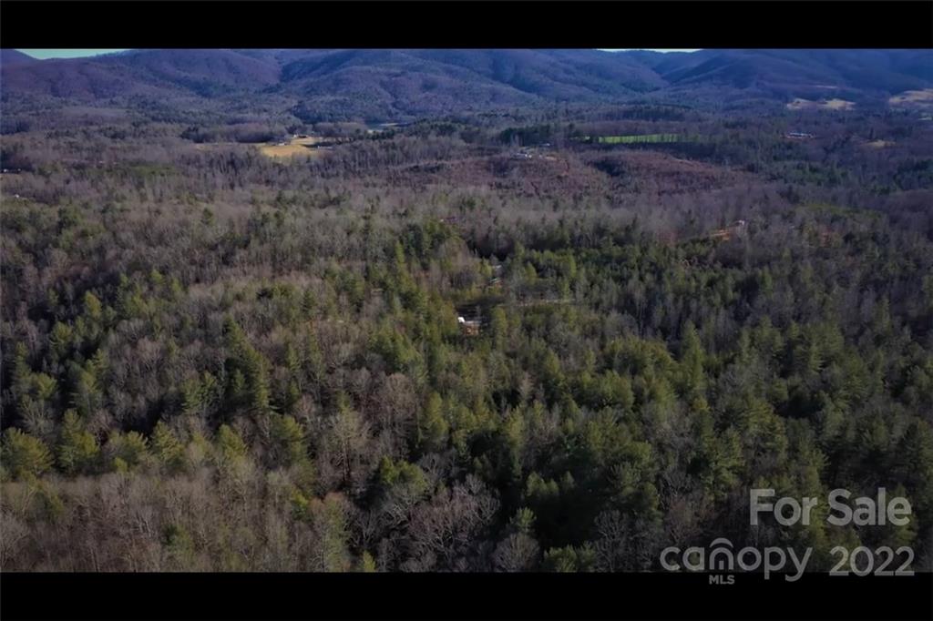 1234 Thankful Church Road Boomer, NC 28606 - Photo 11 of 11 Gallery Image 11