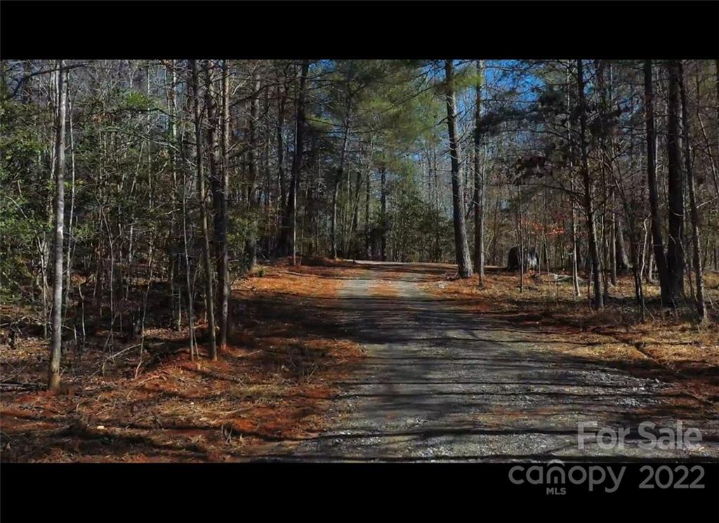 1234 Thankful Church Road Boomer, NC 28606 - Photo 3 of 11 Gallery Image 3