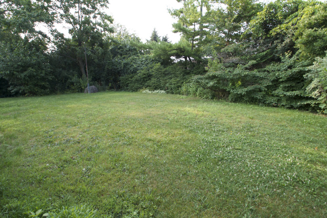 3517 North View Road Rockford, IL 61107 - Photo 3 of 13