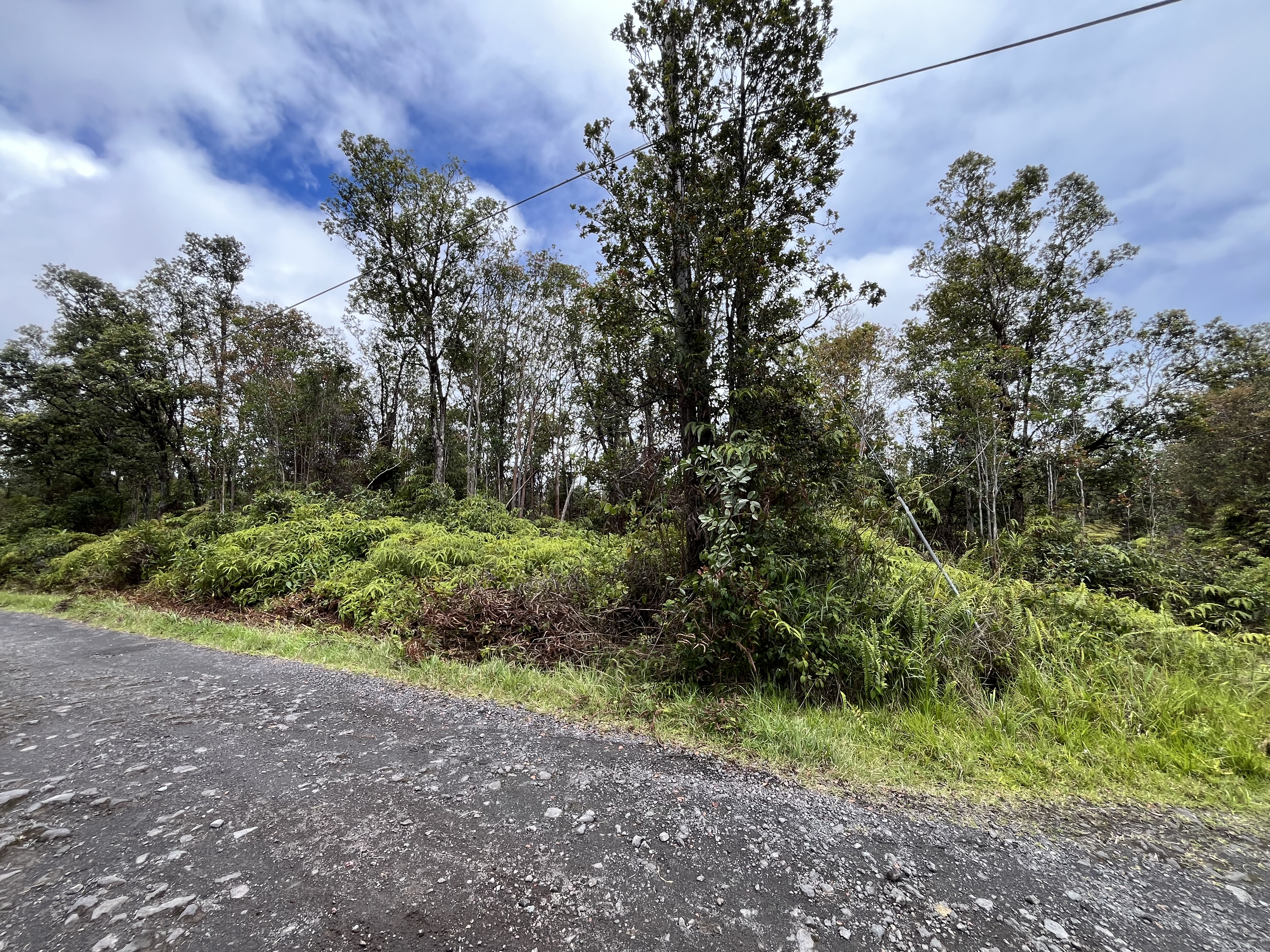 46 Ala Naulani Road Mountain View, HI 96771 - Photo 12 of 13 a view of a garden with a tree