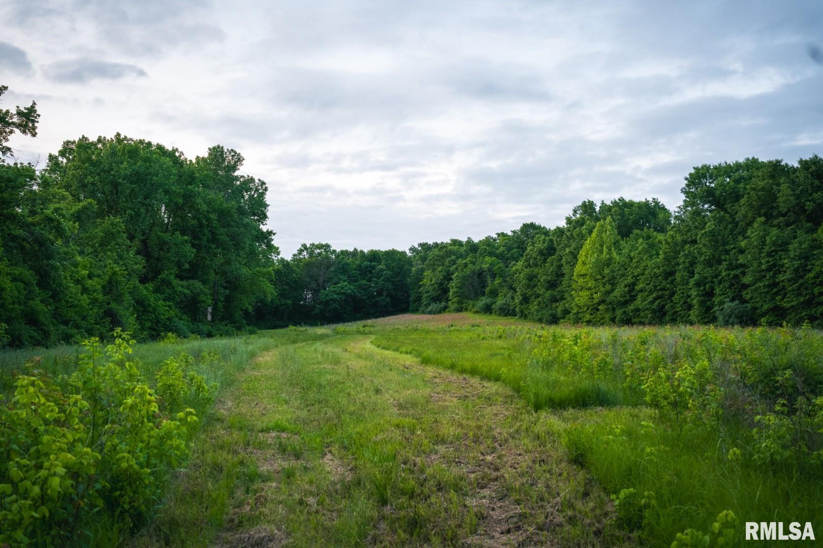 12481 Timber Ridge Godfrey, IL 62035 - Photo 73 of 98