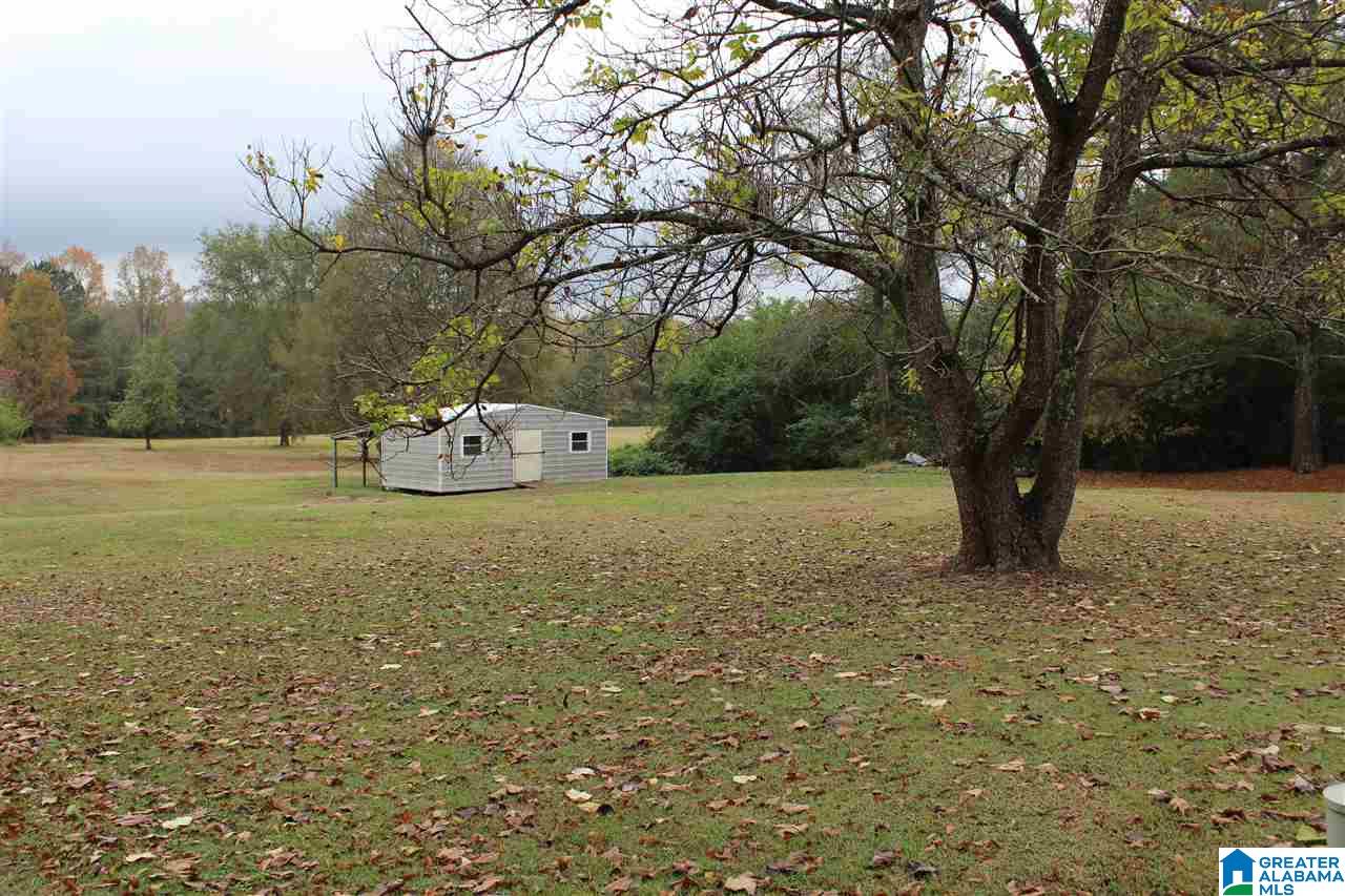 3869 Alexander Road Quinton, AL 35130 - Photo 11 of 36 Gallery Image 11