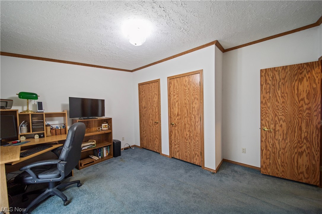 4951 Lane Road Perry, OH 44081 - Photo 18 of 31 Carpeted office space featuring ornamental molding and a textured ceiling