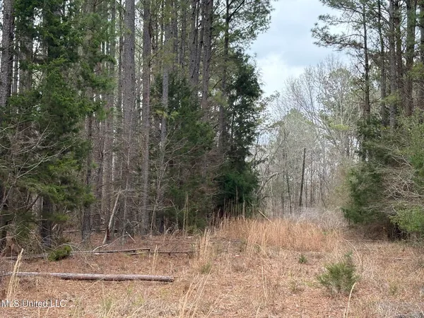 $76,500 | 2211 County Road, Kosciusko, MS 39090