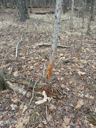 $76,500 | 2211 County Road, Kosciusko, MS 39090