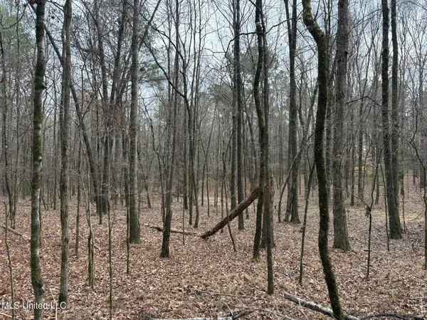 $76,500 | 2211 County Road, Kosciusko, MS 39090