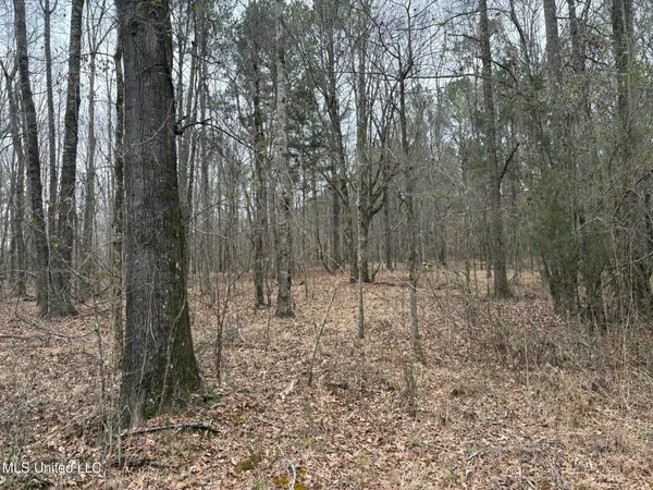 $76,500 | 2211 County Road, Kosciusko, MS 39090