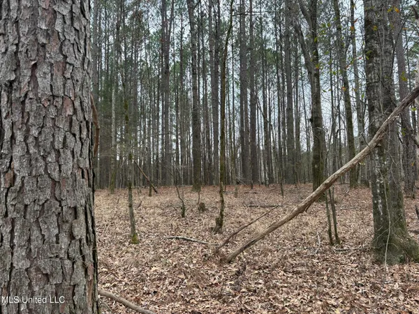 $76,500 | 2211 County Road, Kosciusko, MS 39090