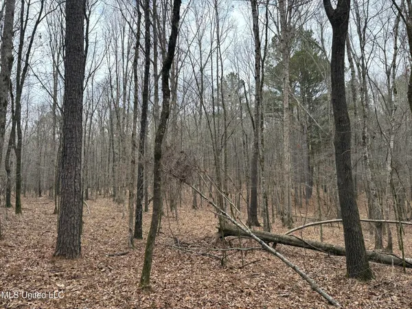 $76,500 | 2211 County Road, Kosciusko, MS 39090