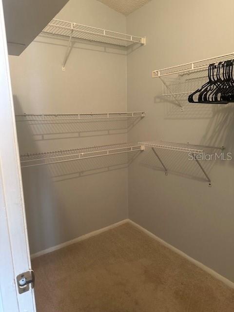 1793 Hampton Lane, Unit 110 Palm Harbor, FL 34683 - Photo 14 of 35 a bathroom with a shower