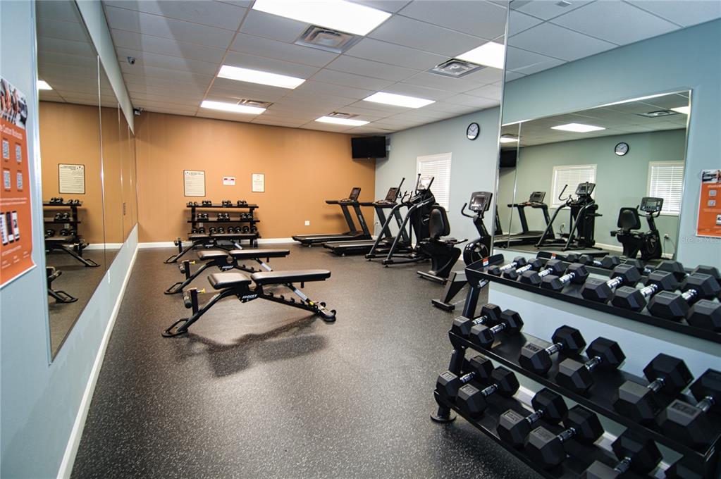 1793 Hampton Lane, Unit 110 Palm Harbor, FL 34683 - Photo 19 of 35 a view of a room with gym equipment
