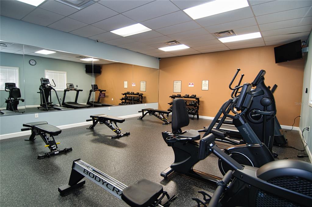 1793 Hampton Lane, Unit 110 Palm Harbor, FL 34683 - Photo 20 of 35 a room with gym equipment