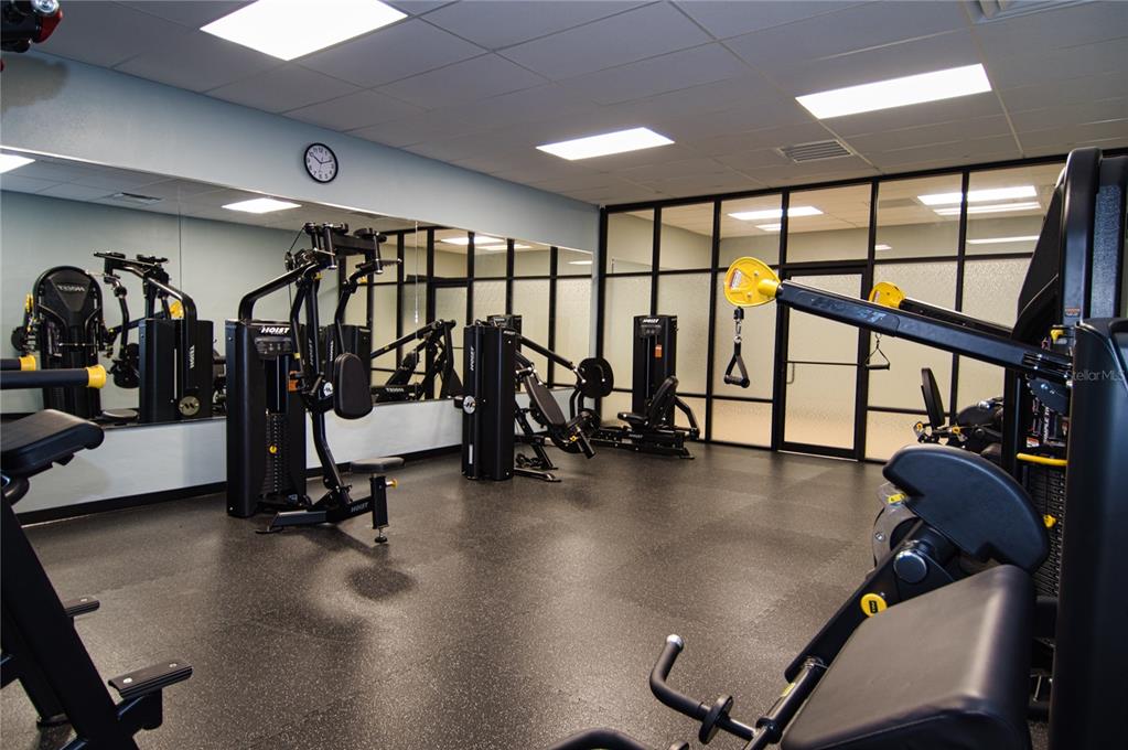 1793 Hampton Lane, Unit 110 Palm Harbor, FL 34683 - Photo 22 of 35 a view of a room with gym equipment