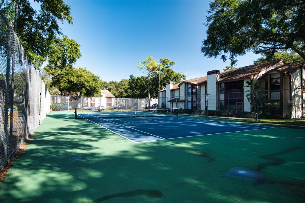 1793 Hampton Lane, Unit 110 Palm Harbor, FL 34683 - Photo 28 of 35 a view of a house with a yard