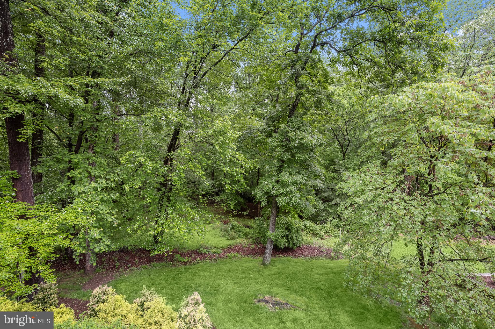 8805 Quiet Stream Court Potomac, MD 20854 - Photo 11 of 42 a view of a lake with a yard