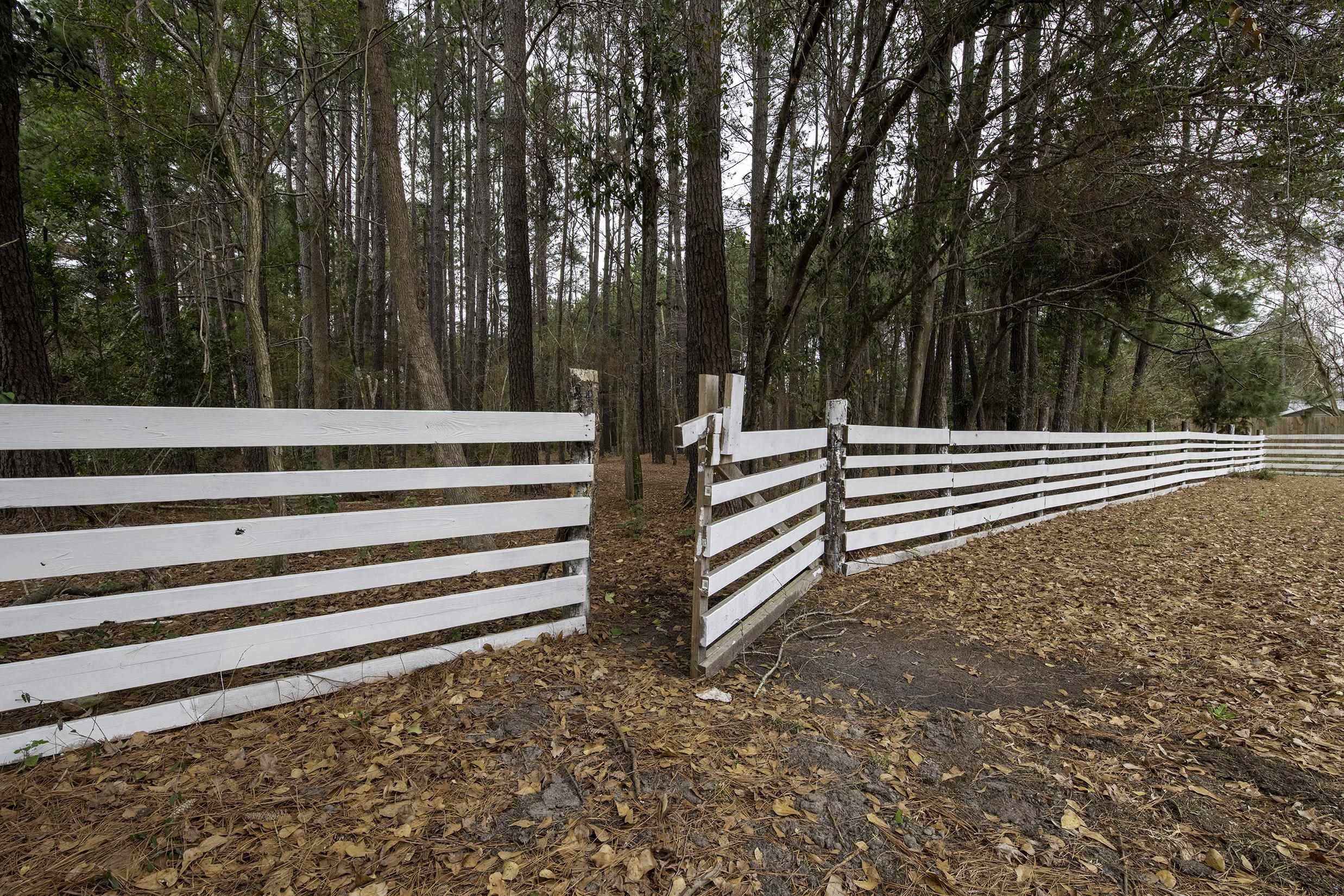412 County Rd S-22-129 Andrews, SC 29510 - Photo 28 of 44 Gallery Image 28