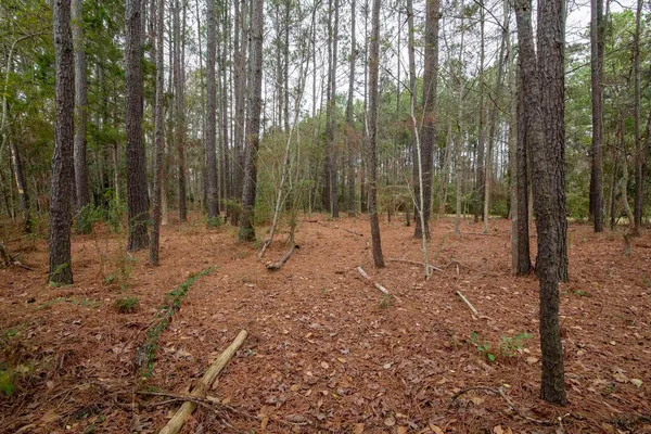 $170,000 | 412 County Rd S-22-129, Andrews, SC 29510