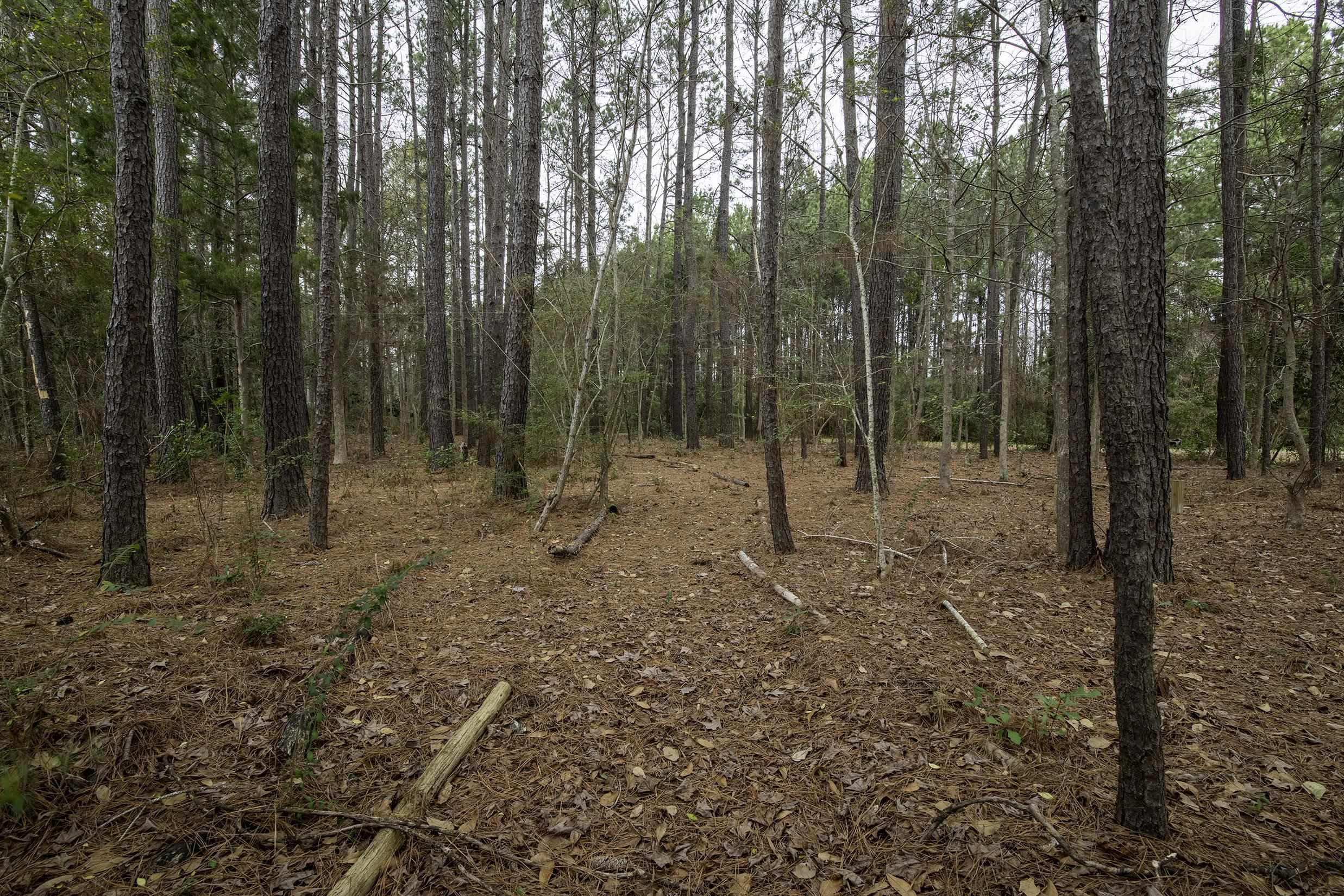 412 County Rd S-22-129 Andrews, SC 29510 - Photo 29 of 44 Gallery Image 29