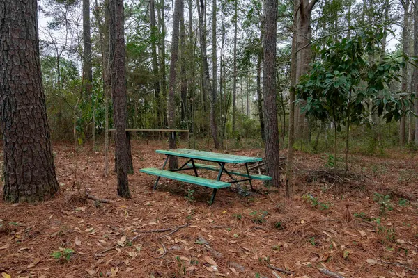 $170,000 | 412 County Rd S-22-129, Andrews, SC 29510