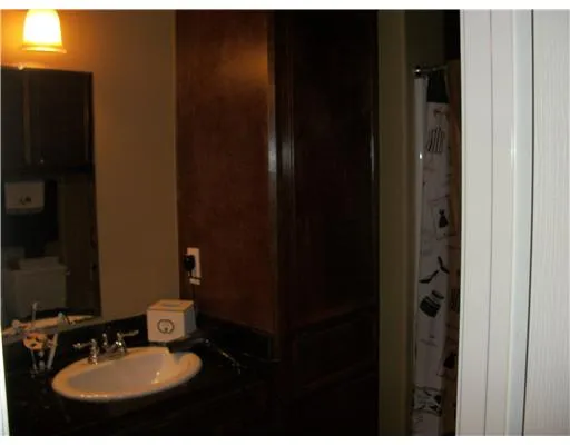 a bathroom with sink and mirror