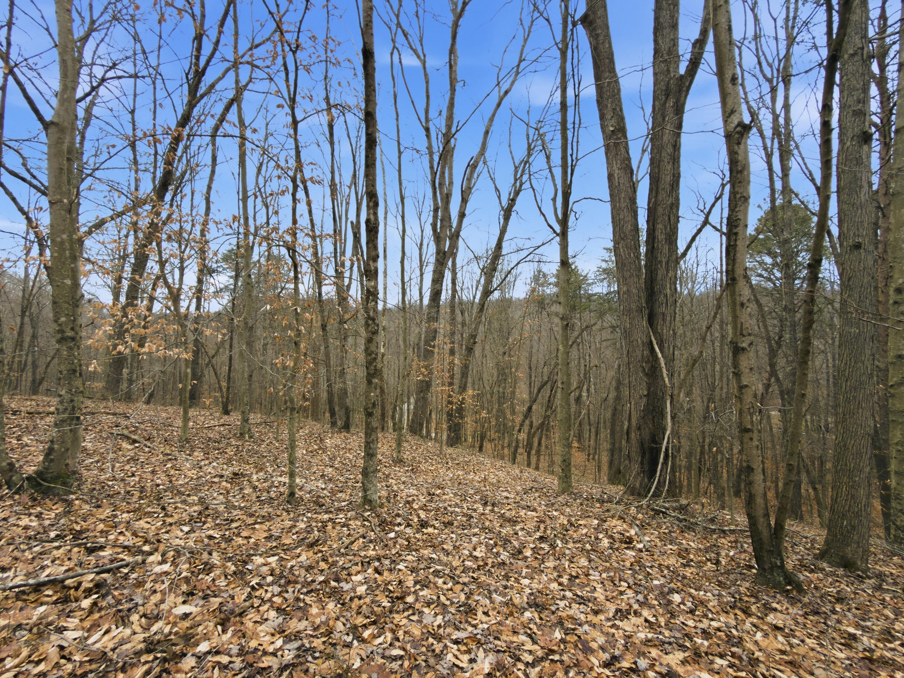 0 East Side Geer Mill Road Vinton, OH 45686 - Photo 22 of 27 IMG_4810