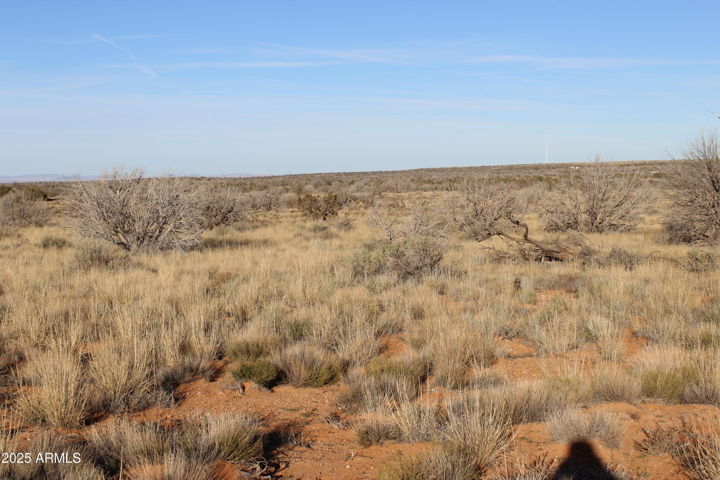 Lot 224 Ccr, Unit 224 Heber, AZ 85928 - Photo 2 of 4 a view of sky from window