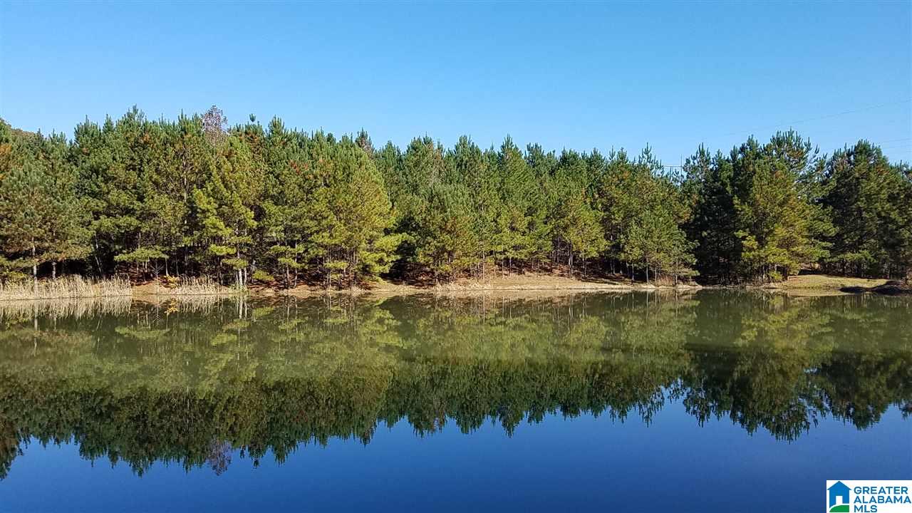 298 Bowerman Road Blountsville, AL 35031 - Photo 15 of 30