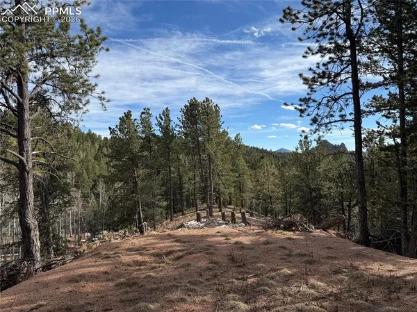 $150,000 | 162 Eagle Drive, Divide, CO 80814