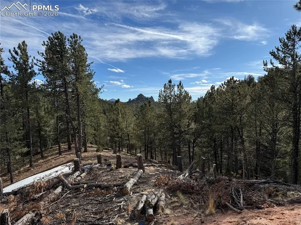 $150,000 | 162 Eagle Drive, Divide, CO 80814