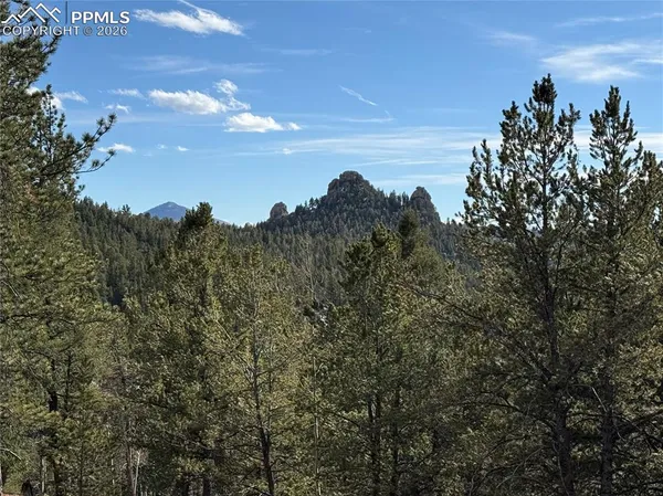 $150,000 | 162 Eagle Drive, Divide, CO 80814