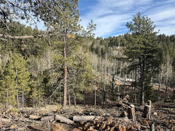 $150,000 | 162 Eagle Drive, Divide, CO 80814