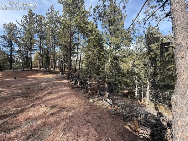 $150,000 | 162 Eagle Drive, Divide, CO 80814