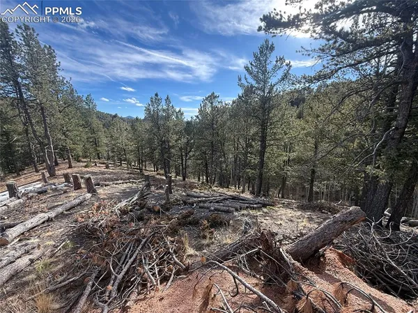 $150,000 | 162 Eagle Drive, Divide, CO 80814