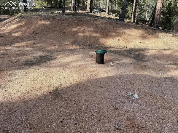 $150,000 | 162 Eagle Drive, Divide, CO 80814