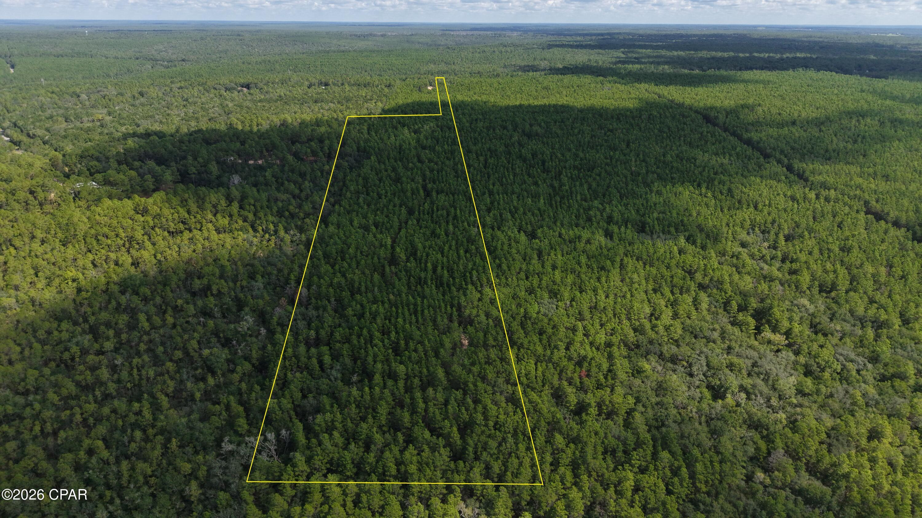 B Trawick Creek Road Holt, FL 32564 - Photo 2 of 27 Gallery Image 2