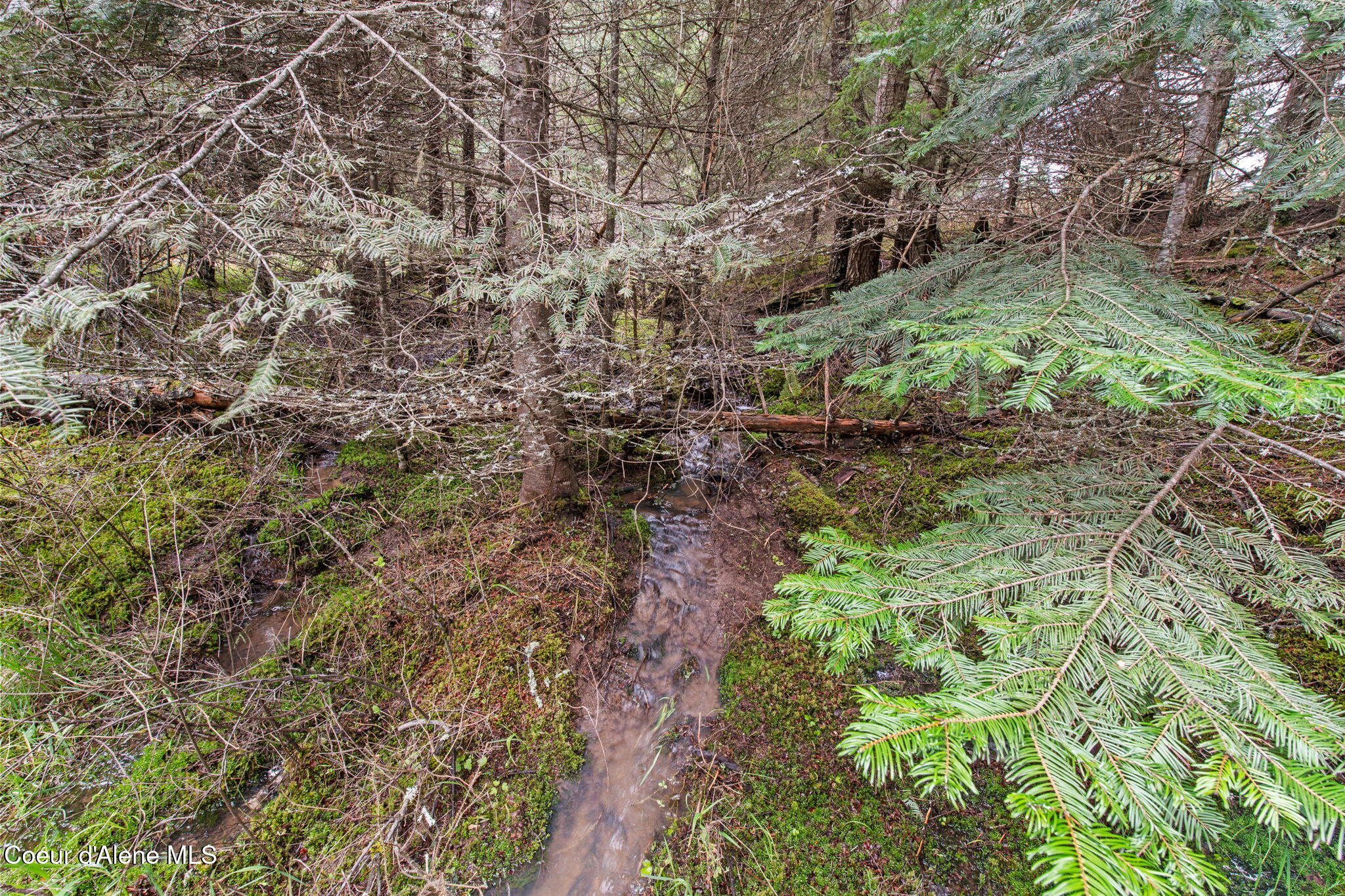 414 Joan's Road Fernwood, ID 83830 - Photo 41 of 54 58-web-or-mls-414 Joan's Rd-45