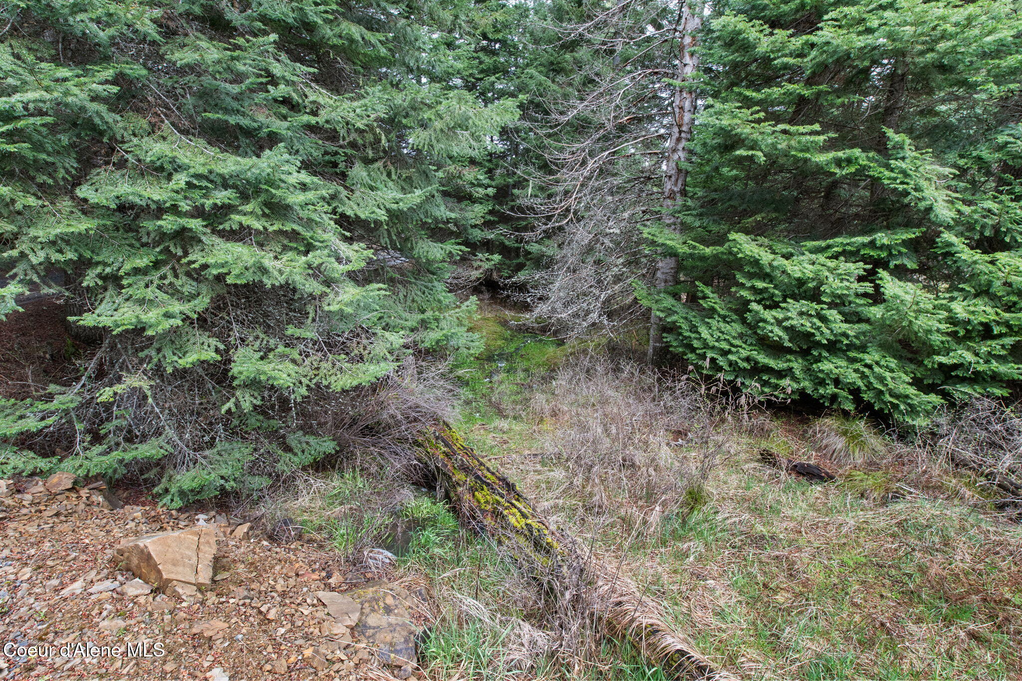 414 Joan's Road Fernwood, ID 83830 - Photo 42 of 54 57-web-or-mls-414 Joan's Rd-28