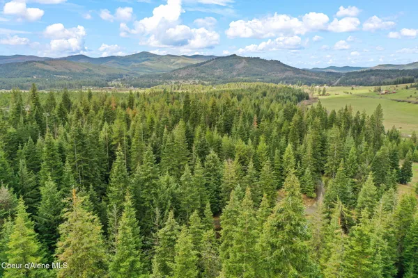 $625,000 | 414 Joan's Road, Fernwood, ID 83830