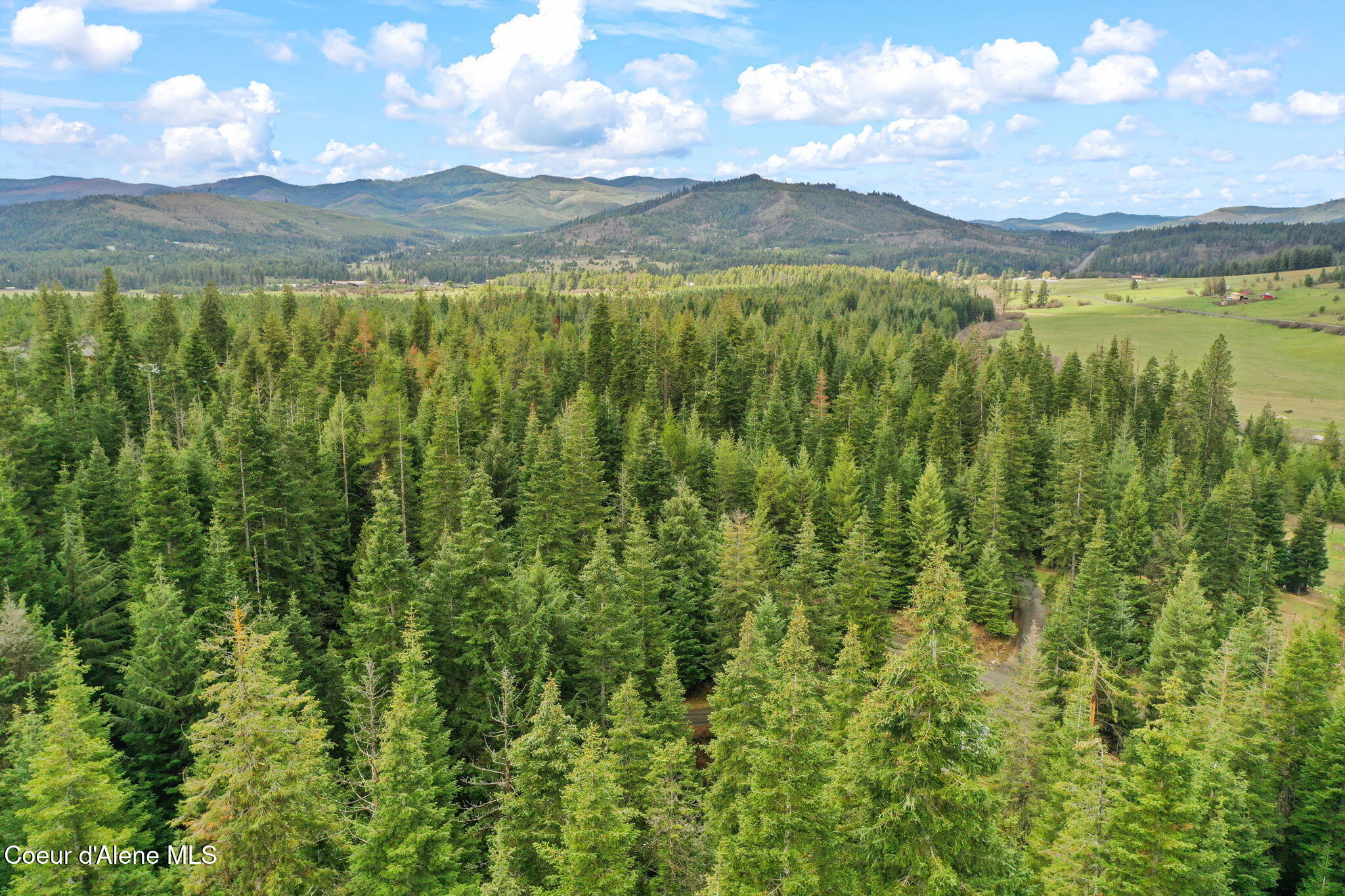 414 Joan's Road Fernwood, ID 83830 - Photo 44 of 54 55-web-or-mls-414 Joan's Rd Drone-14