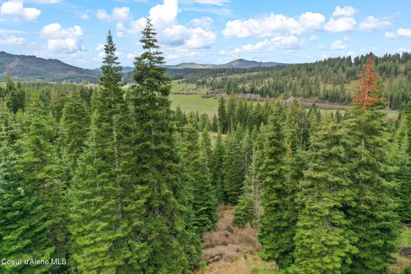 $625,000 | 414 Joan's Road, Fernwood, ID 83830