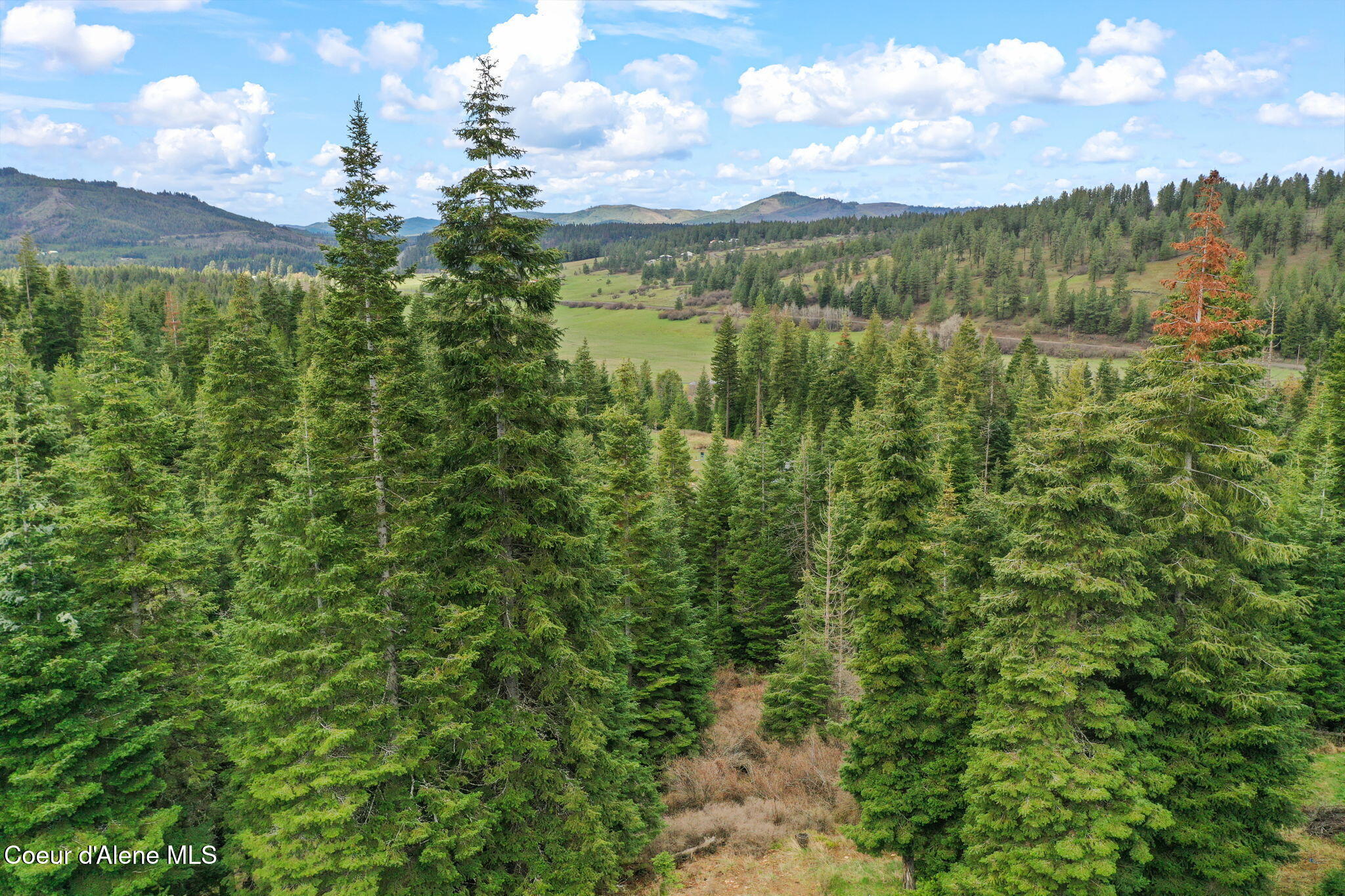 414 Joan's Road Fernwood, ID 83830 - Photo 45 of 54 54-web-or-mls-414 Joan's Rd Drone-13