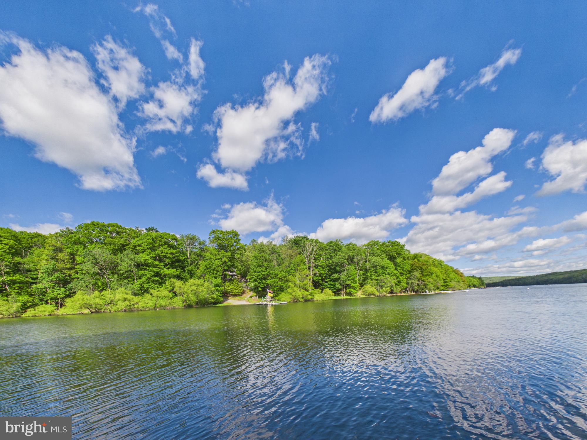477 Finn Swamp Road Lakeville, PA 18438 - Photo 19 of 53 Martin's Cove, best view ever!