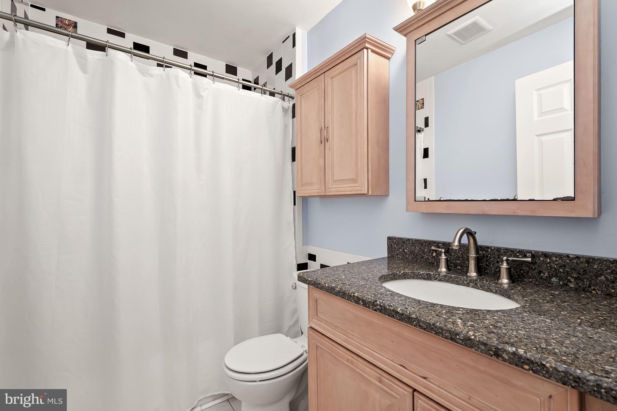 3330 Daisy Road Woodbine, MD 21797 - Photo 36 of 67 Full Bath