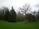 12S355 Lemont Road Lemont, IL 60439 - Photo 2 of 3