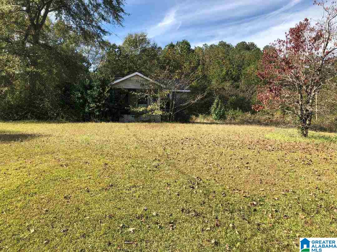 980 Turner Road, Unit ADJOINING PARCELS Anniston, AL 36201 - Photo 16 of 17