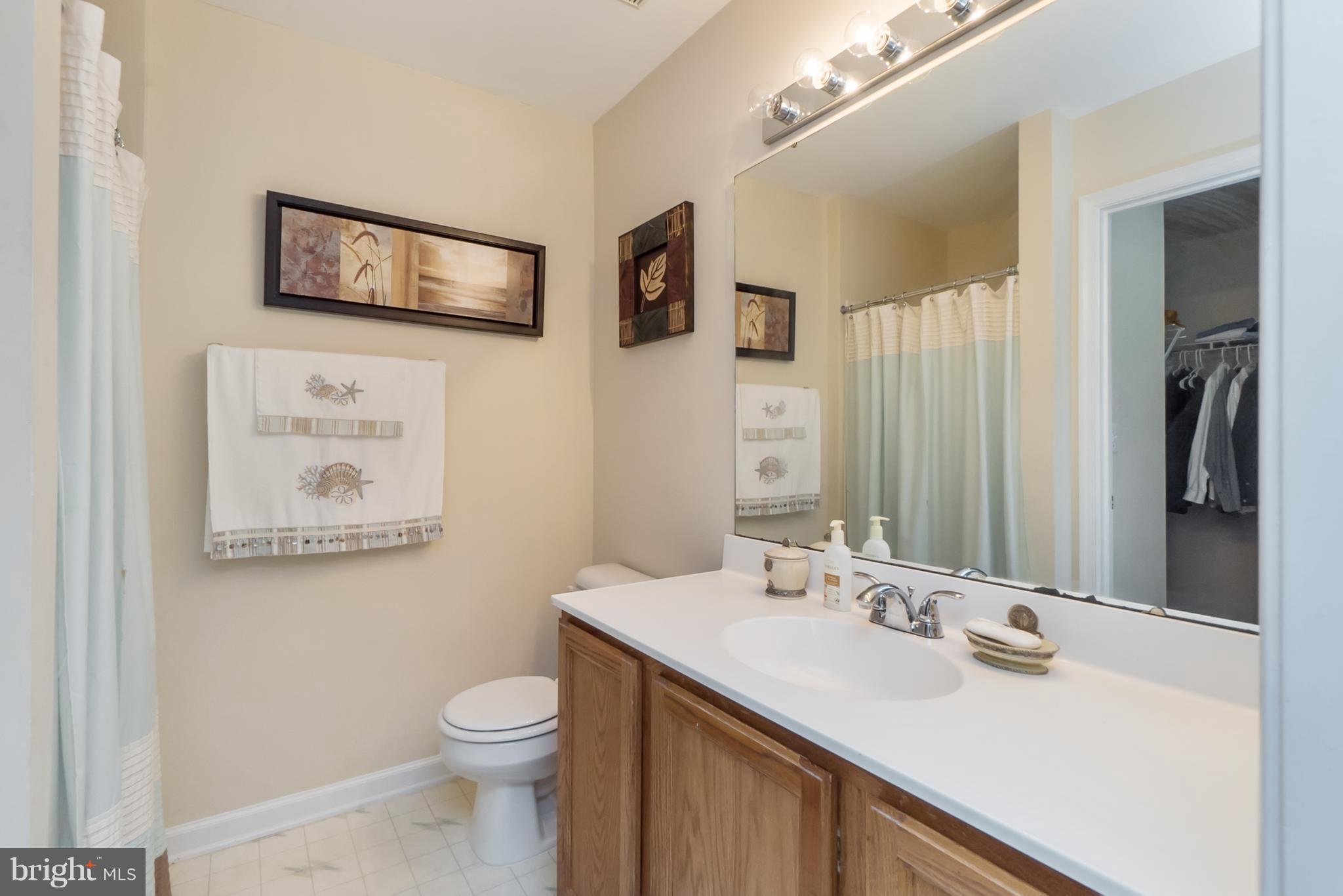 6372 Trips Way Springfield, VA 22150 - Photo 14 of 30 Bath (Master)
