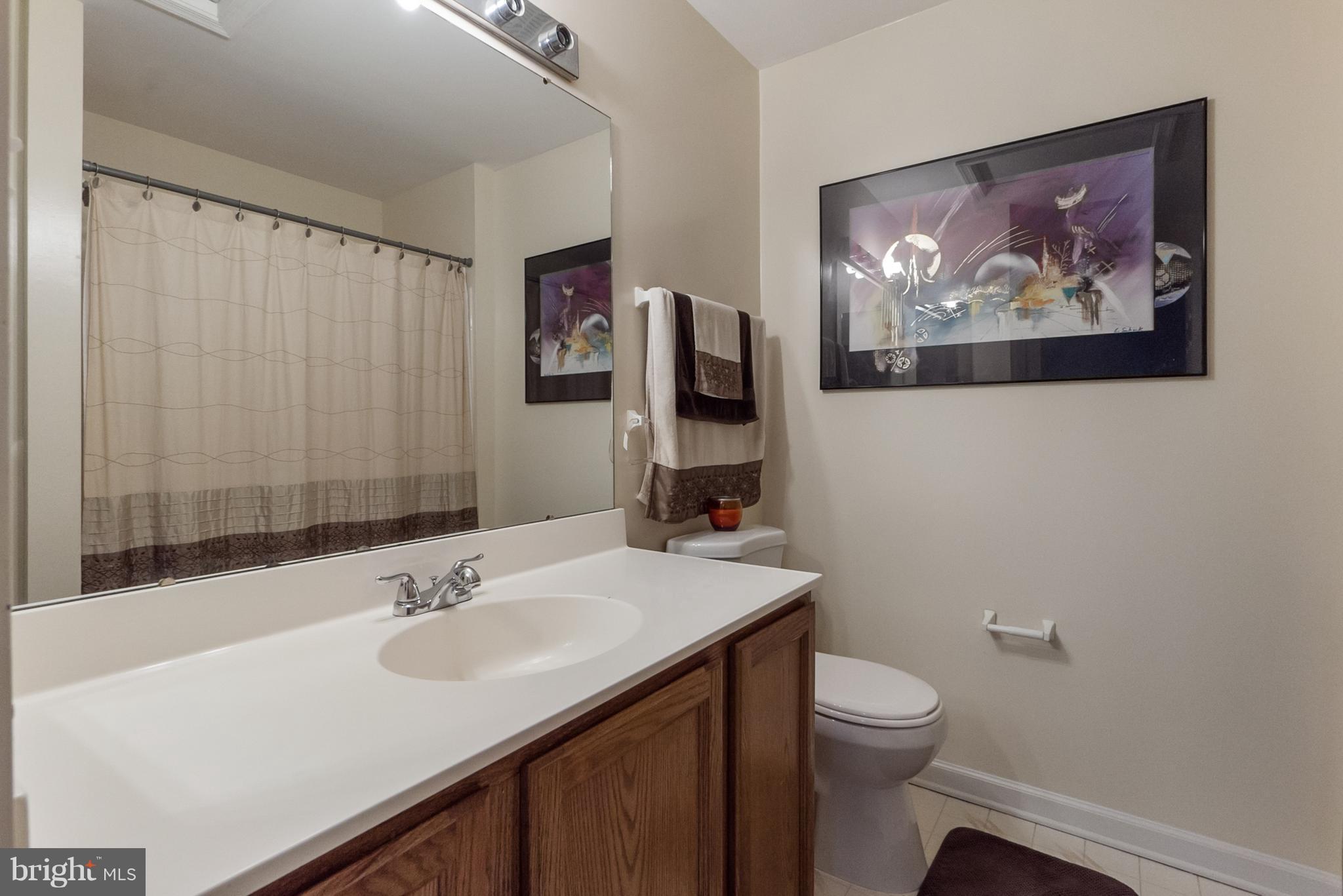 6372 Trips Way Springfield, VA 22150 - Photo 17 of 30 Bath